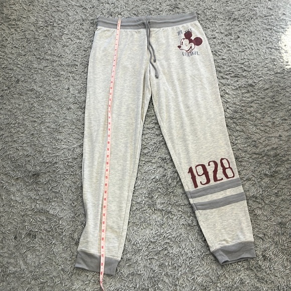 Women's Disneyland Parks soft jogger size Large - Picture 1 of 5
